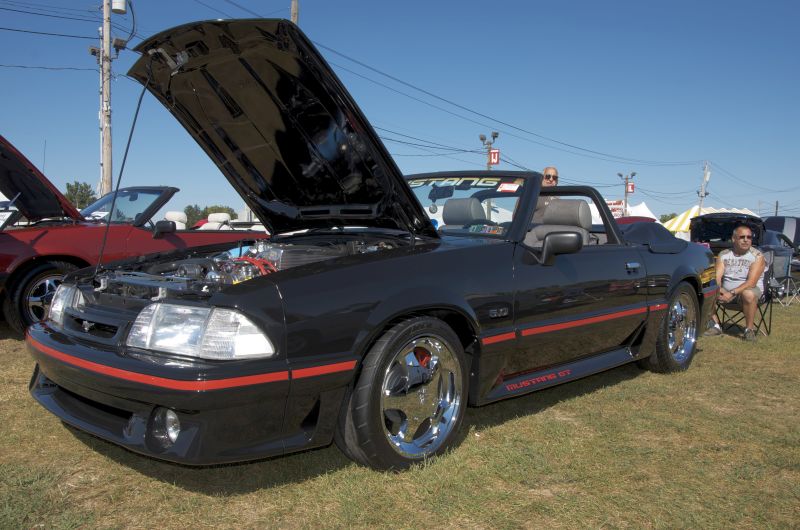 Mustang_Round_Up
