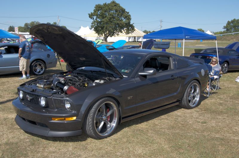 Mustang_Round_Up