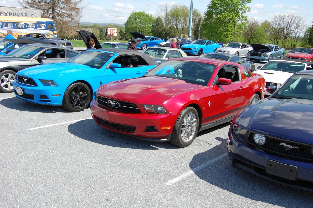 Mustang_Day