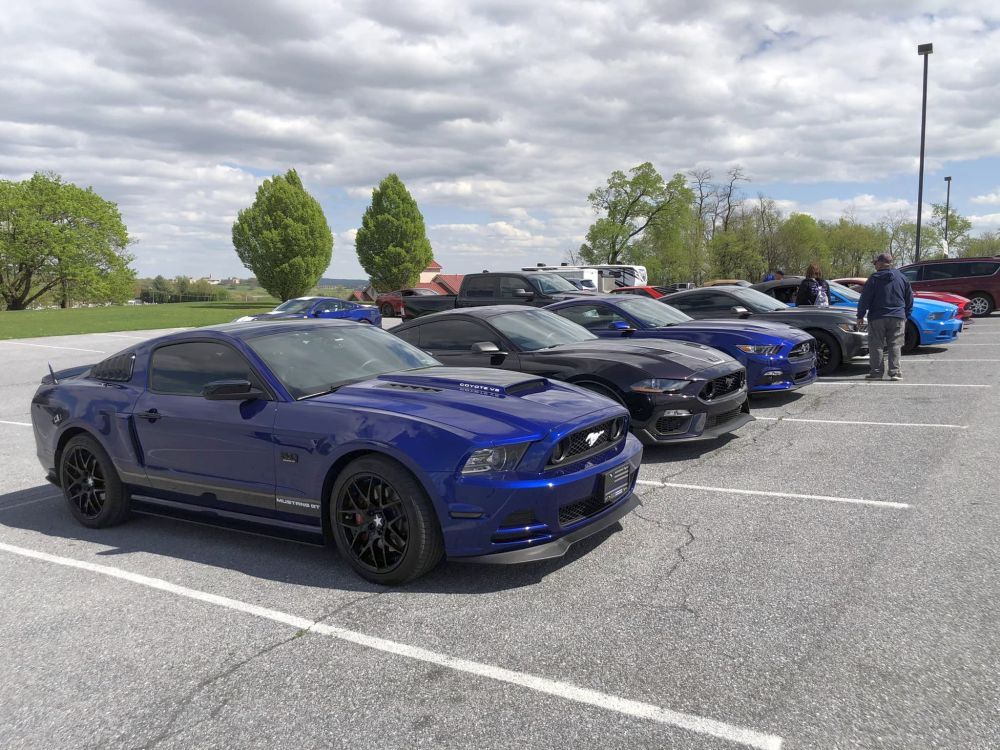 Mustang_Day